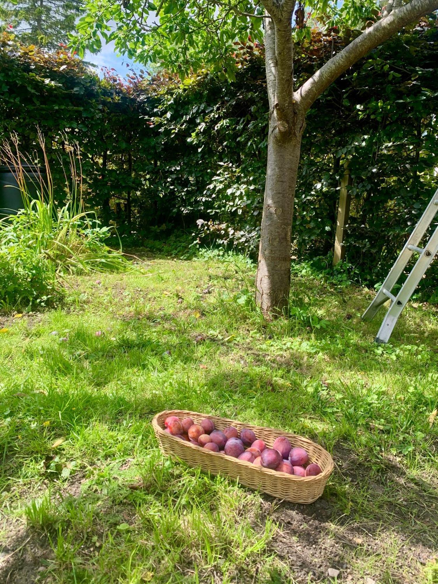 The Little Orchard Villa Watlington  Bagian luar foto