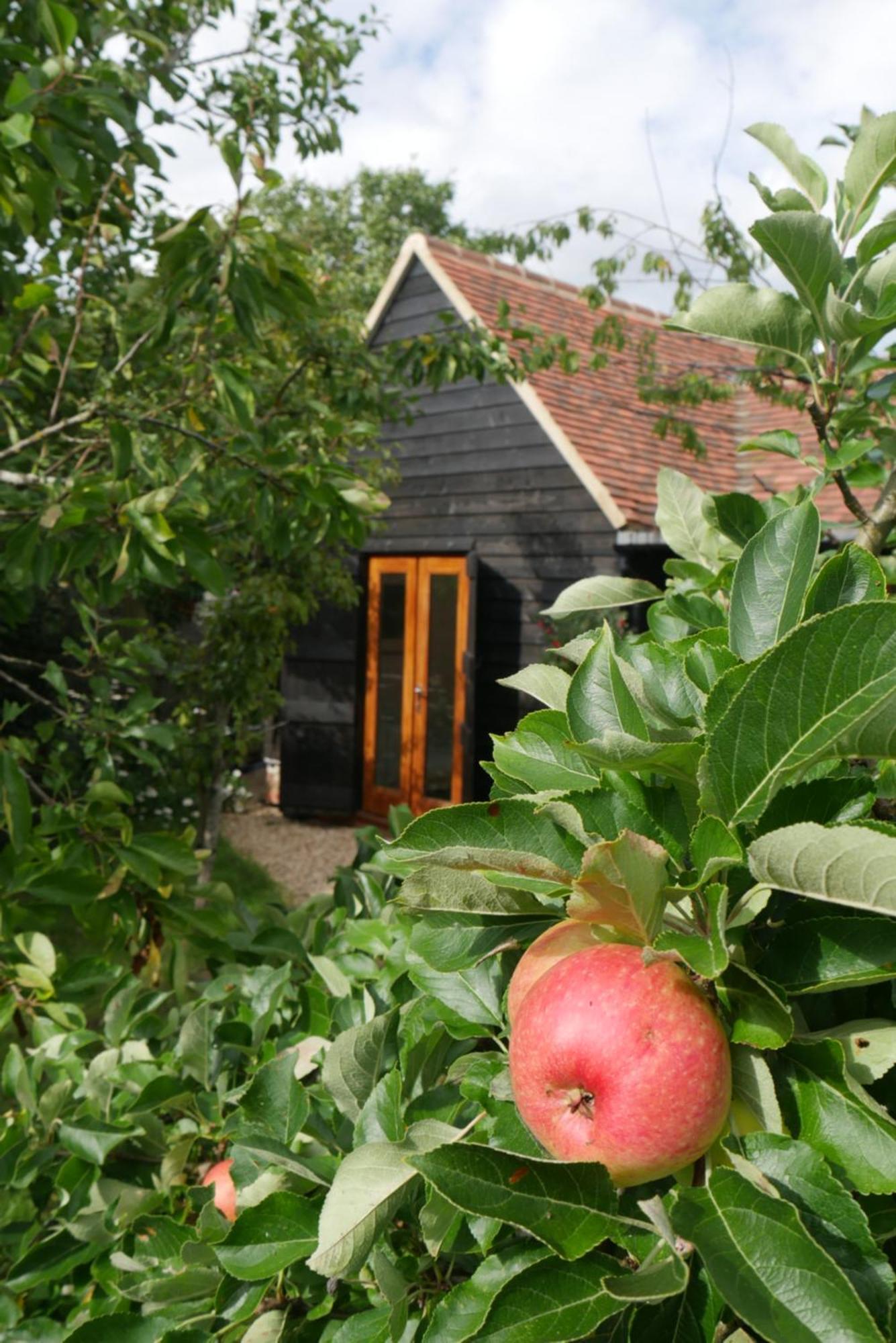 The Little Orchard Villa Watlington  Bagian luar foto
